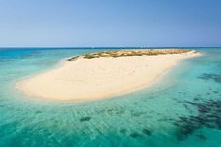 Tours to Egypt Egypt All Inclusive Family Vacation 7 Days with Nile Cruise 2024/2025