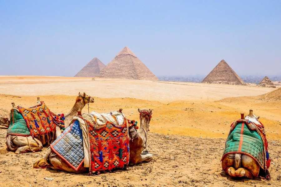 Tours to Egypt TRIP TO GIZA PYRAMIDS AND THE EGYPTIAN MUSEUM