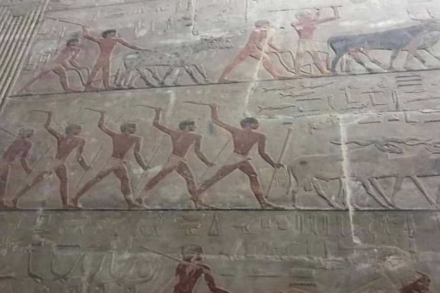 Tours to Egypt DAY TRIP TO SAKKARA, MEMPHIS AND DAHSHUR