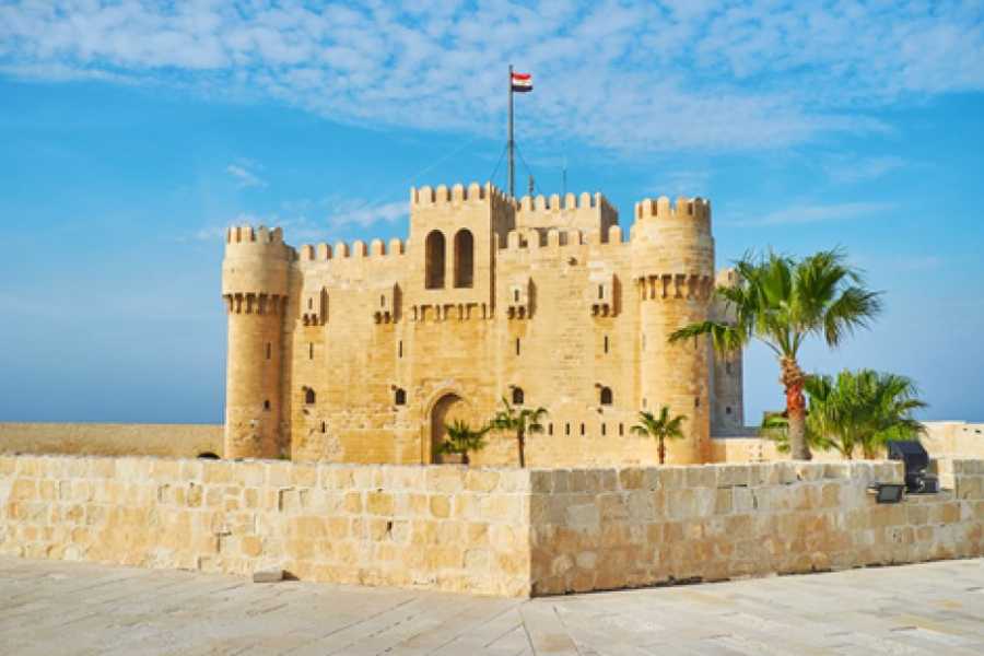 Tours to Egypt DAY TOUR FROM CAIRO TO ALEXANDRIA