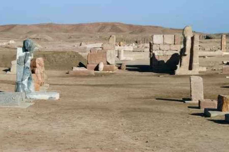 Tours to Egypt DAY TRIP TO TANIS FROM CAIRO