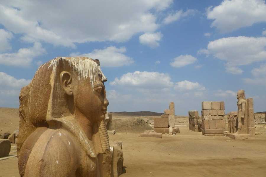 Tours to Egypt DAY TRIP TO TANIS FROM CAIRO
