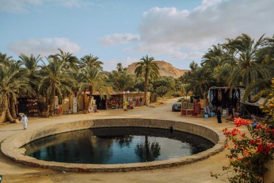 Tours to Egypt 3 DAYS TRIP TO SIWA OASIS FROM CAIRO
