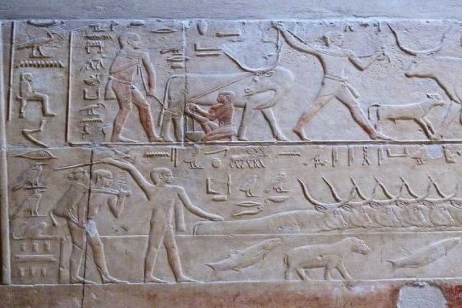 Tours to Egypt DAY TOUR TO MEMPHIS SAKKARA AND DAHSHUR PYRAMIDS