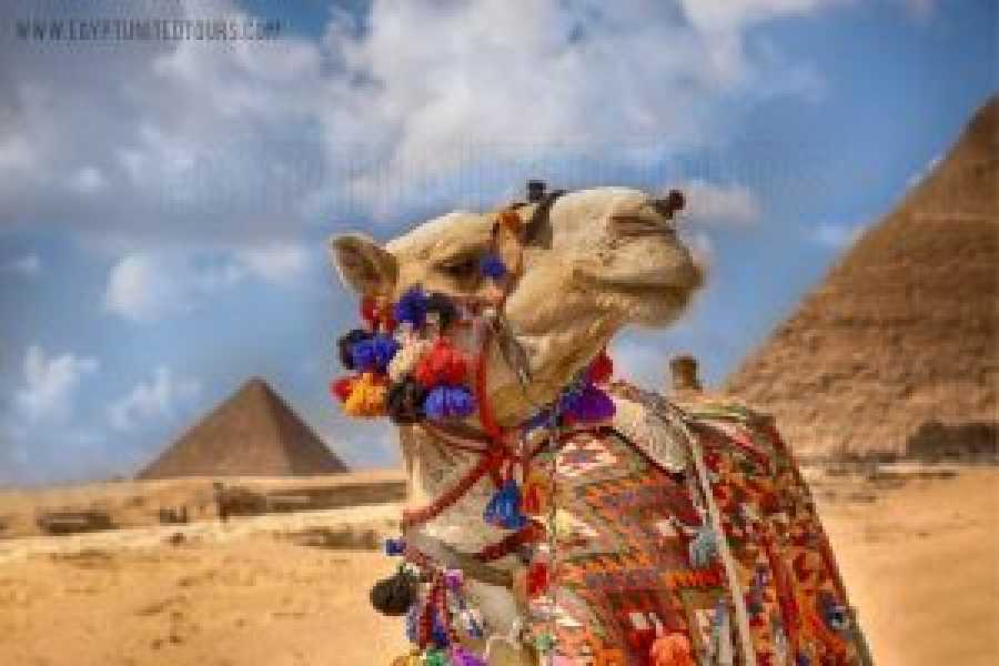 Tours to Egypt Luxury 5 Days Trip Package Cairo and Giza from Canada With Air 2024/2025