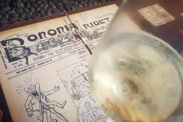 Bologna wine experience
