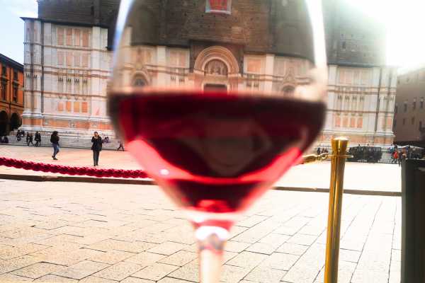 Bologna wine experience