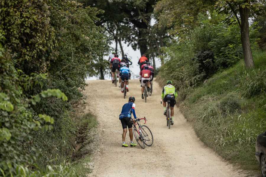 Discover Cervia (ERW) Accomodation offer - White Salt Roads - 2024 October 11 to 13