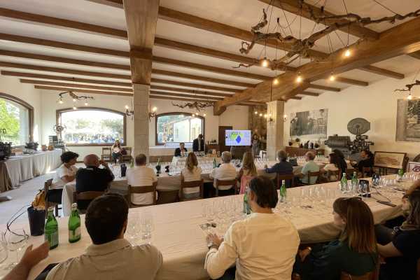 Wine Tasting & brunch in tenuta a Caltagirone