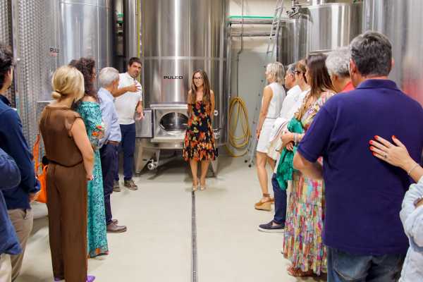 Wine Tasting & brunch in tenuta a Caltagirone