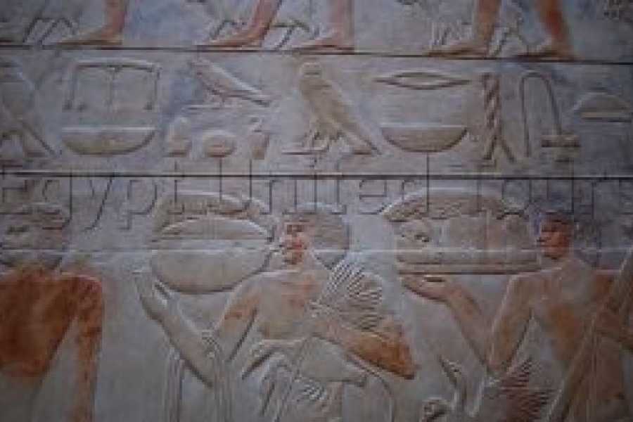 Tours to Egypt Opulence 8 Days Egypt Trip With Nile Cruise 2024/2025