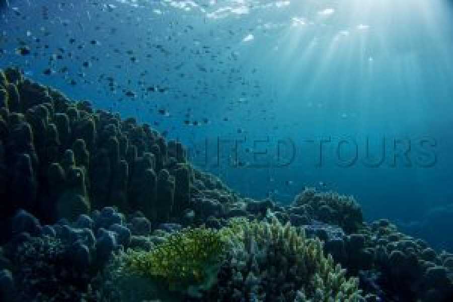 Tours to Egypt Affluence 8 Days Egypt Trip With Sharm El-Sheikh 2024/2025