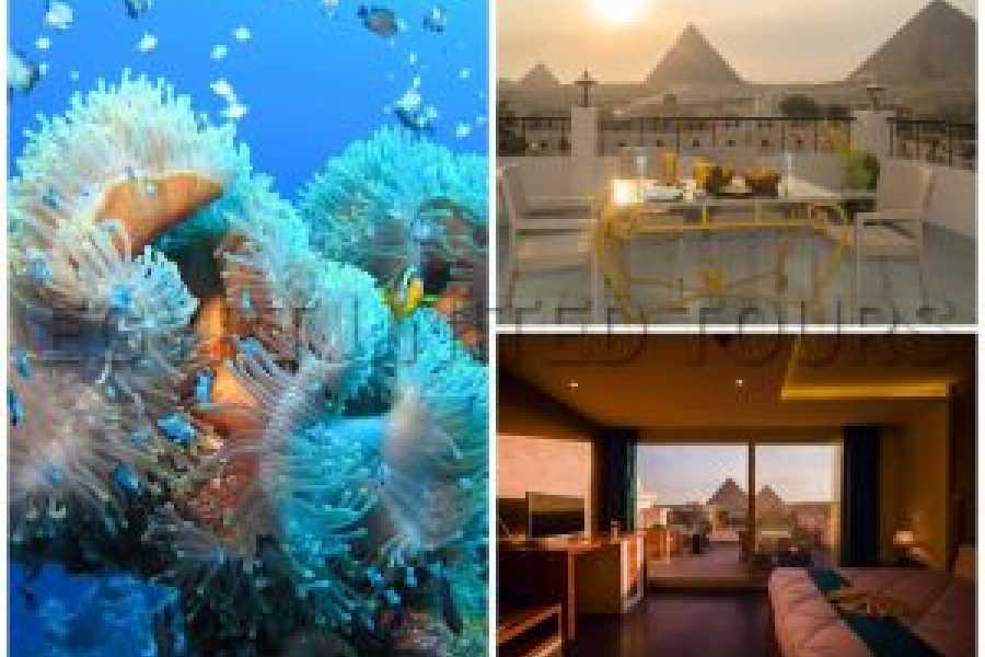 Tours to Egypt Affluence 8 Days Egypt Trip With Sharm El-Sheikh 2024/2025