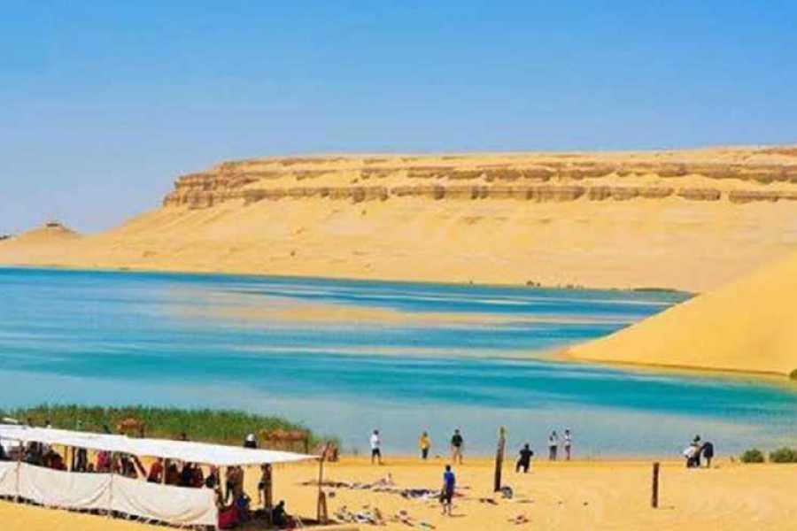 Tours to Egypt TOUR TO WADI AL HITAN AND FAYOUM OASIS FROM CAIRO