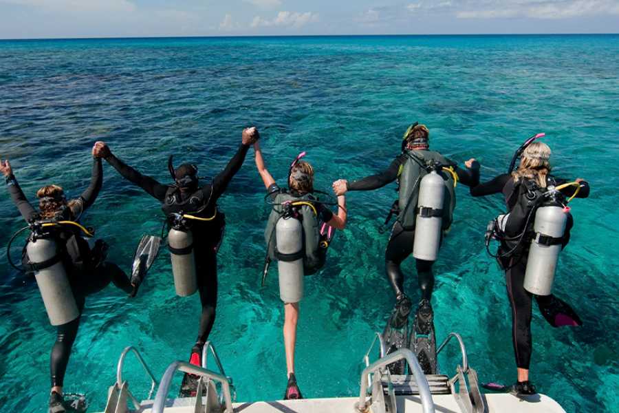 Tours to Egypt SNORKELING TRIP TO THE DOLPHIN HOUSE FROM HURGHADA