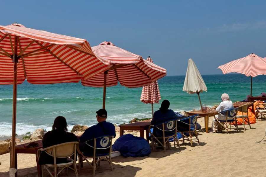 Egypt Tour packages Trip to Alexanderia tour from El Alamein
