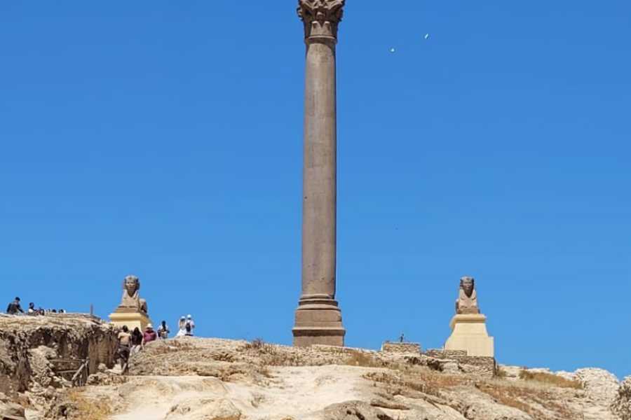 Egypt Tour packages Trip to Alexanderia tour from El Alamein
