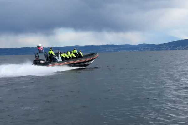 Rib-tur p&aring; Trondheimsfjorden til Venneshamn