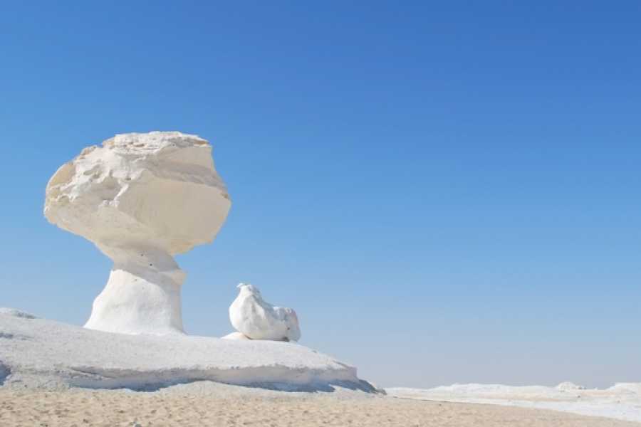 Egypt Tour packages 2-dages Hvide &Oslash;rken & Bahariya Oase Tur | Privat 2026 Safari