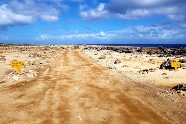 Washington-Slagbaai national park tour