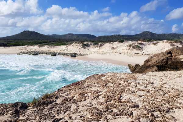 Washington-Slagbaai national park tour