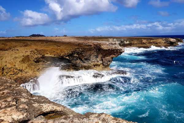 Washington-Slagbaai national park tour