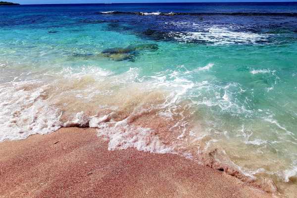 Washington-Slagbaai national park tour