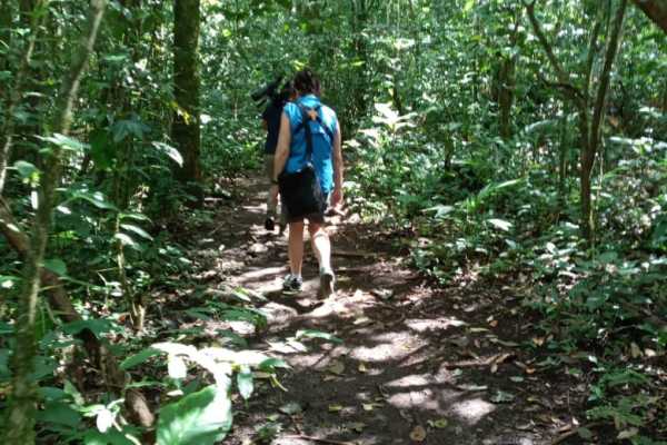 Arenal Sky Tram and Zip Line Tour