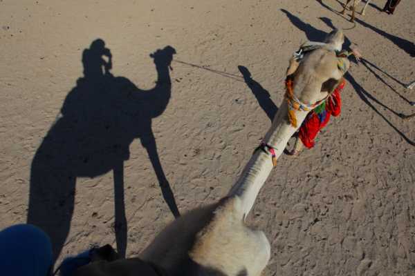 Sunset Buggy Safari Trip from Marsa Alam