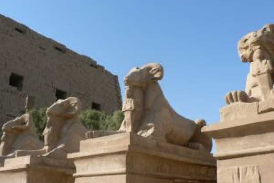 Tours to Egypt 7-T&Auml;GIGE LUXUSREISE NACH &Auml;GYPTEN, KAIRO, LUXOR UND ALEXANDRIA 2024/2025