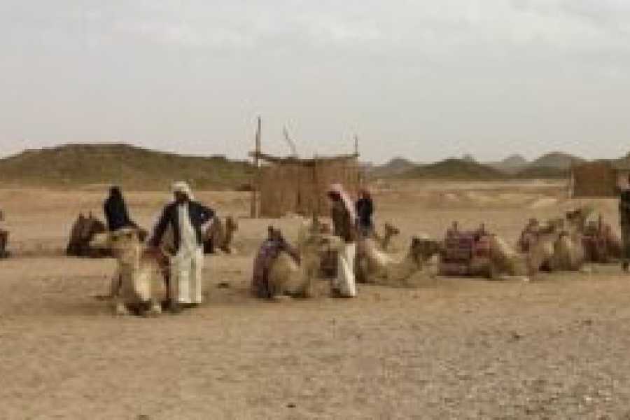 Tours to Egypt Marsa Alam and Nile Cruise Tour Package 2024/2025