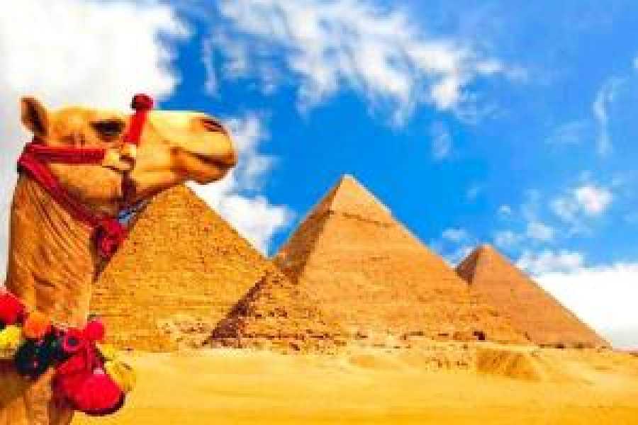 Tours to Egypt Cheap Egypt Tour Package with Nile Cruise 2024/2025