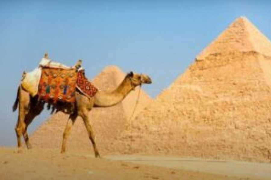 Tours to Egypt FORFAIT TOUR DES PYRAMIDES D'&Eacute;GYPTE AVEC CROISI&Egrave;RE SUR LE NIL 2024/2025