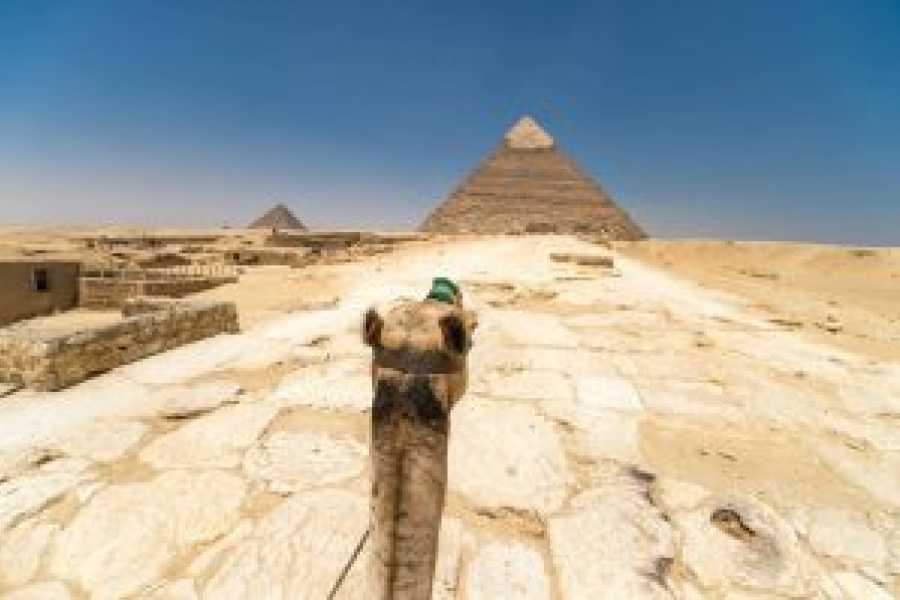 Tours to Egypt CIRCUITS DE 7 JOURS AU CAIRE ET &Agrave; DUBA&Iuml; 2024/2025