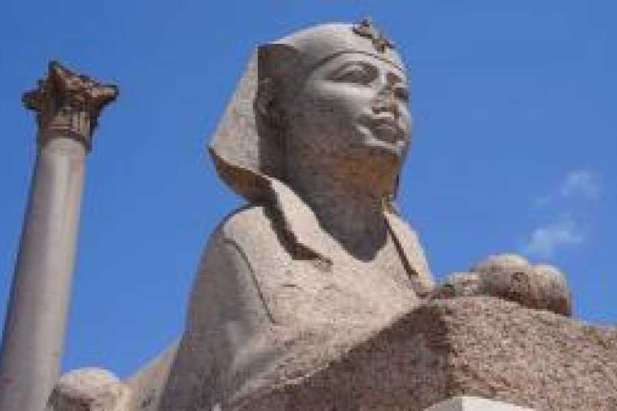 Tours to Egypt 8 Days Egypt Small Group Itinerary Cairo, Alexandria& Hurghada 2024/2025