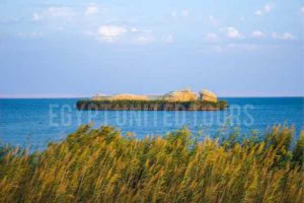 All Inclusive 5 Days Tour with Airfare From USA Cairo & Alexandria Tour 2024/2025