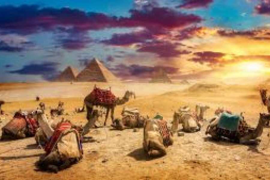 Tours to Egypt 5 days Egypt Luxury Holiday Package with Red Sea