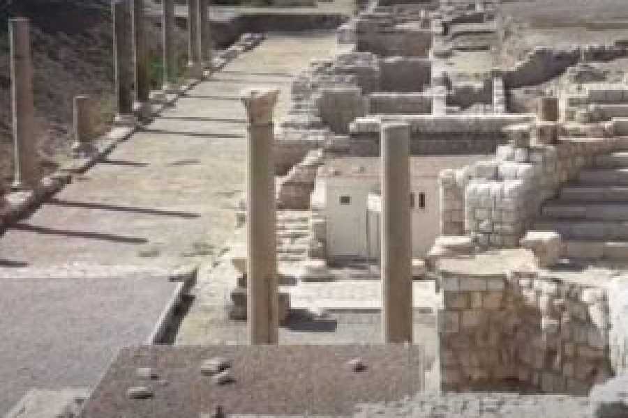 Tours to Egypt 4 Days Itinerary Cairo and Fayoum From USA 2024/2025