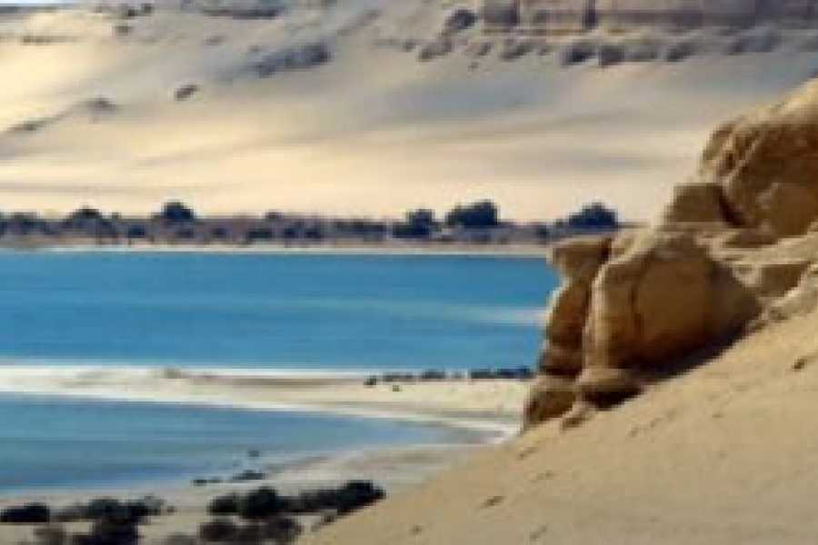 Tours to Egypt CIRCUIT 4 JOURS EN &Eacute;GYPTE TOUT COMPRIS 2024/2025