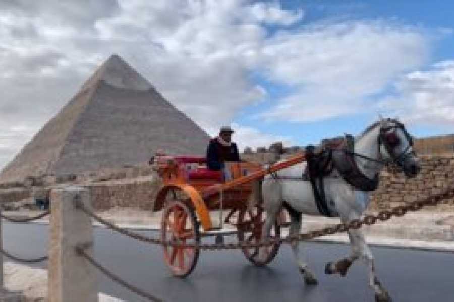 Tours to Egypt Cairo to Luxor Tour Package 2024/2025