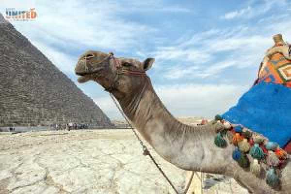 Best All Inclusive Egypt Trip Hurghada, Luxor, Giza Pyramids 2024/2025
