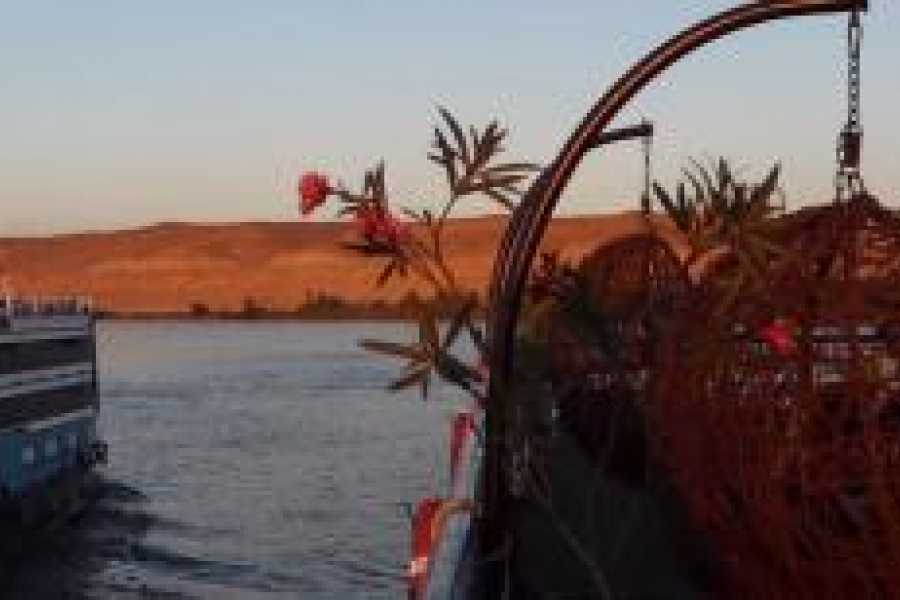 Tours to Egypt Cairo Luxor Aswan Abu Simbel and Hurghada Tour 2024/2025