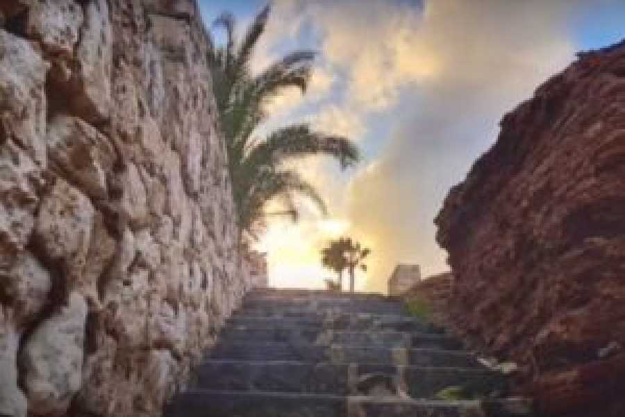 Tours to Egypt ITIN&Eacute;RAIRE DE LA VISITE DE LA VILLE DU CAIRE 2024/2025