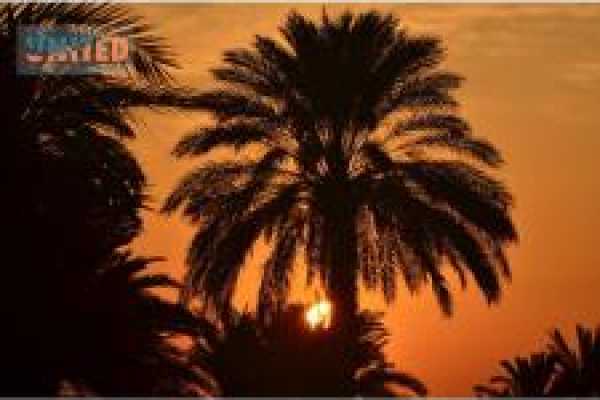 8 days Egypt Luxury Holiday Package from Marsa Alam