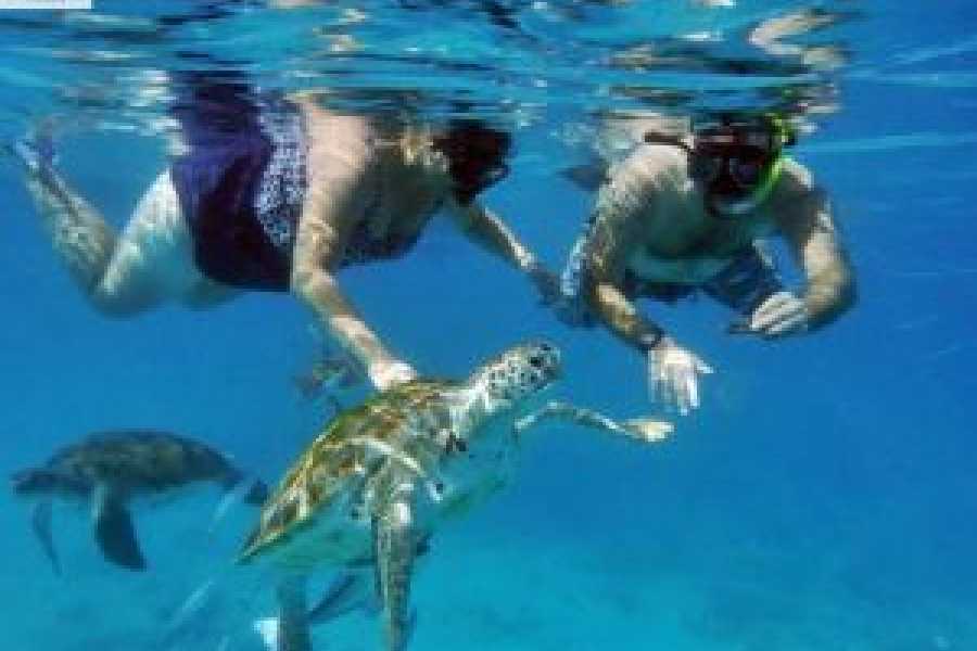 Tours to Egypt FORFAIT VACANCES DE LUXE DE 8 JOURS EN &Eacute;GYPTE AU D&Eacute;PART DE MARSA ALAM
