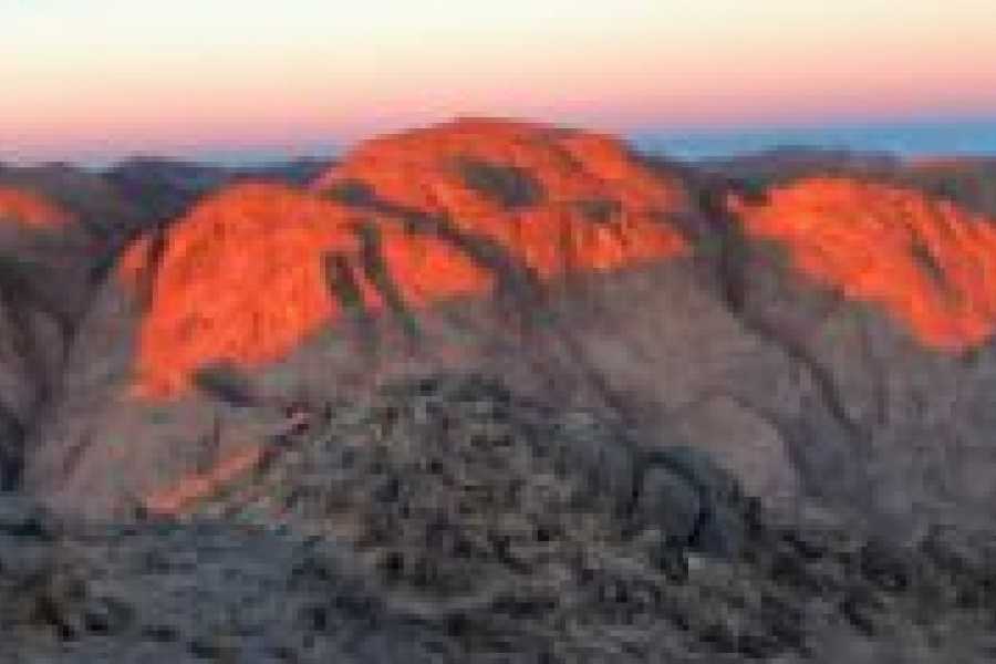 Tours to Egypt Sharm El Sheikh and Pyramids Holiday All Inclusive 2024/2025