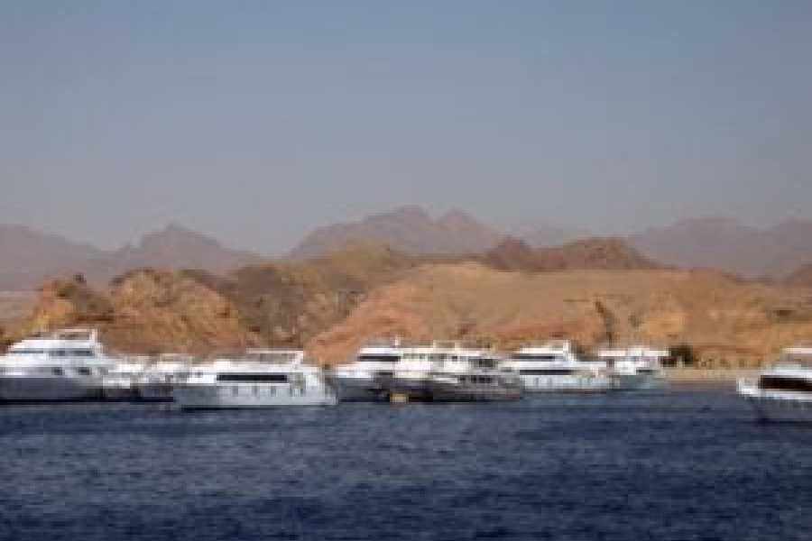 Tours to Egypt Sharm El Sheikh and Pyramids Holiday All Inclusive 2024/2025