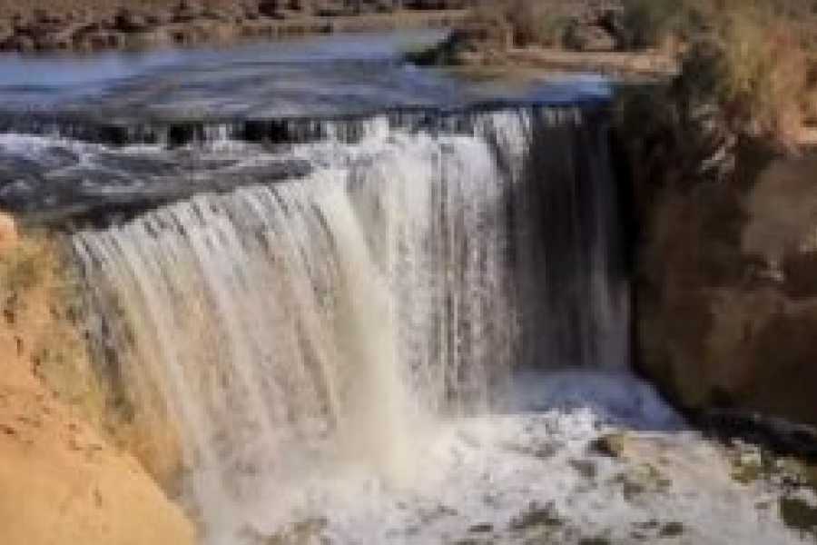 Tours to Egypt Best Nasser Lake Cruise From Abu Simbel In 2024 /2025