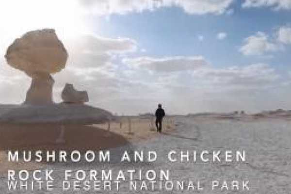 Black and White Desert Tour from Cairo 2024/2025