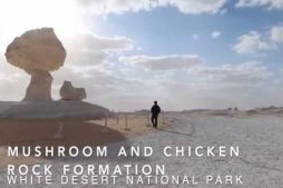 Tours to Egypt Black and White Desert Tour from Cairo 2024/2025